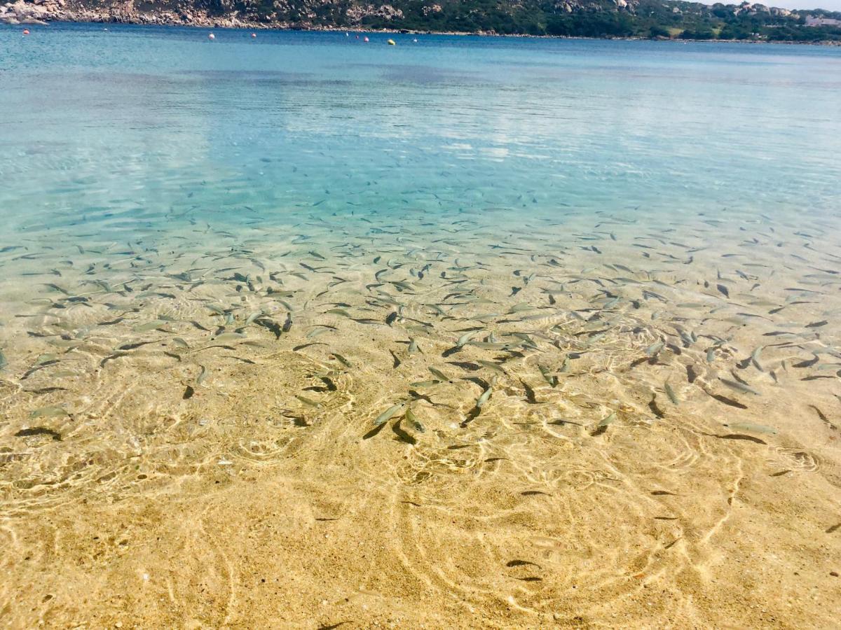 Le Residenze Itaca Apartment Porto Pozzo Bagian luar foto